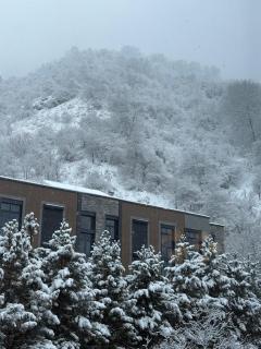 Ugam revers Apartments - 9