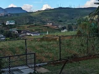 Drizzle Ridge Villa - 4