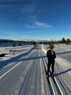 Cabin in the Mountain, with Solar Energy - 8