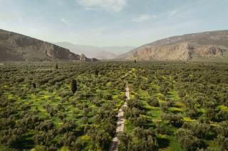 Santa Marina Arachova Resort & Spa - 3