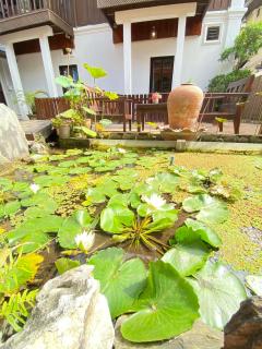 Villa Xiengthong Garden View - 8