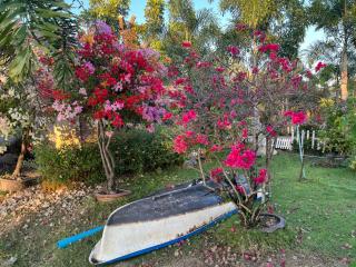 Cozy breezing countryside Pet - 4