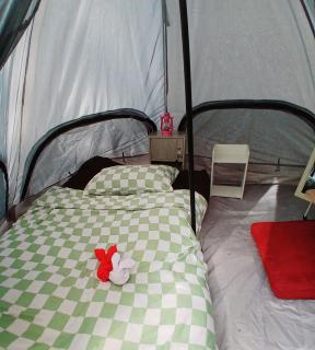 Kalaland camp patong - 0