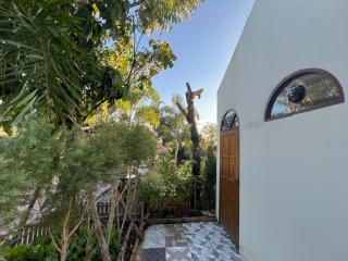 Cozy breezing countryside Pet - 3