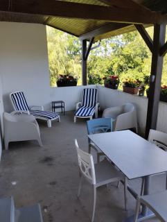 appartement avec terrasse et jardin - 3