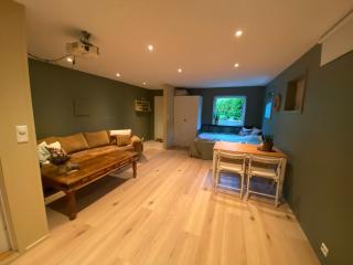 Koselig, ny 1-roms hybelleilighet med moderne kjøkken - 4