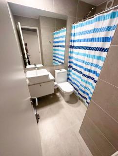 Pucón CENTRO, a pasos de la PLAYA y el LAGO, VISTA al VOLCÁN, Depto NUEVO con Aire Acondicionado, Camas y Plumones ROSEN, 2 Dorm, 2 Baños, 1 Estacionamiento Subterráneo, Terraza, Wifi Alta Velocidad, Ascensor, a pasos del Casino ENJOY - 2