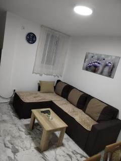 Apartman Ristic Vrnjacka banja - 8