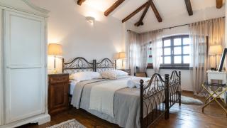 Family villa Aryana with pool in Porec - 1