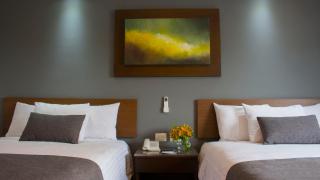 Eco Hotel Guadalajara Expo - Guadalajara - 3