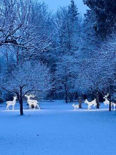 FACT Apartments - Arnoldstein - 7