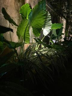 Villa Vita Unawatuna - 8