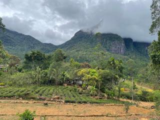 green view 5th mile - 5