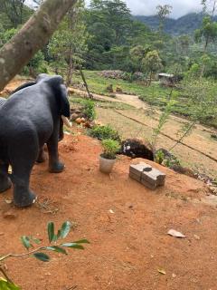 green view 5th mile - 3