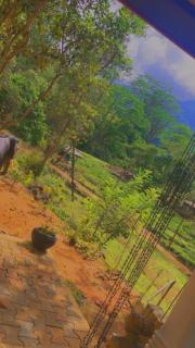 green view 5th mile - 2