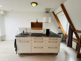 Bright apartment incl workplace near the city center - 2