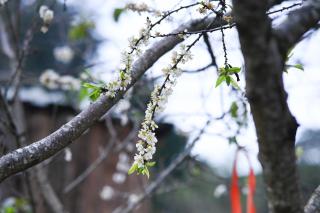 Cỏ Mây Wonder Homestay - 6