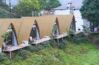 Cỏ Mây Wonder Homestay - 8