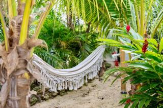 Coral Estate Rentals - 1