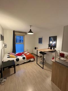 Studio Cité des Congrès - Château - 6