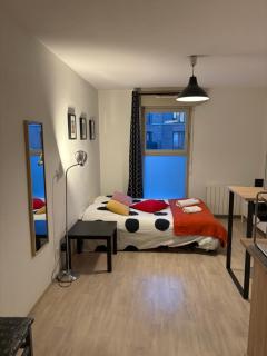 Studio Cité des Congrès - Château - 4