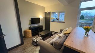 Six Bedroom House on Southmead road - 3