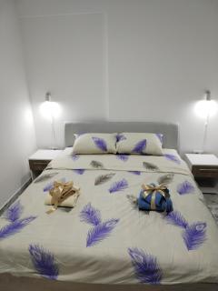 Apartman Ristic Vrnjacka banja - 2