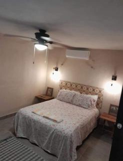 CASA ROSA Ground floor apartment - 2