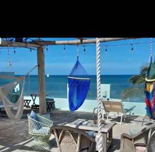 CASA ROSA Ground floor apartment - 7