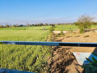 Eze's African home stay - 7