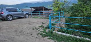 Aspet B&B in Tatev - 3