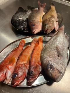 お宿とごはん百々 - 8