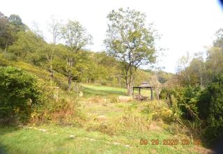 Secluded one room house on 235 acres - 7