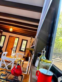 Bosque nativo a 10 min Termas Geométricas y Playa - 9