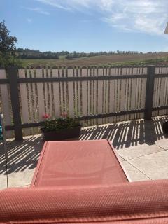 Landhaus in den Weinbergen - 6