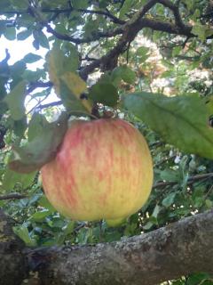 Landhaus in den Weinbergen - 1