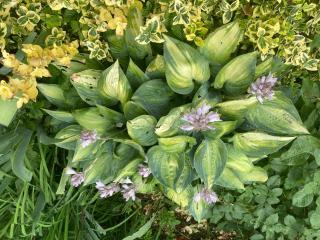 Landhaus in den Weinbergen - 5