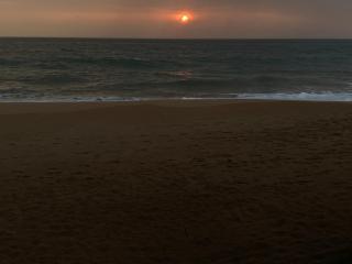 Coastal Heaven - Bentota - 9