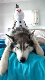 Breaker Bay Paradise - 8