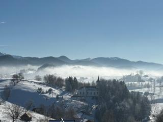 Zen Nest Tiny House - 8