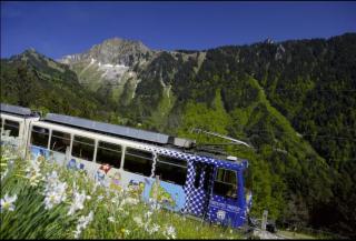 Architect house with gorgeous view lake & Wildlife - 7