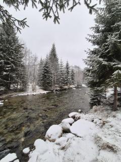 Gray River Resort - 9