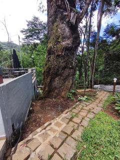 Cabana do Eucalipto - 9