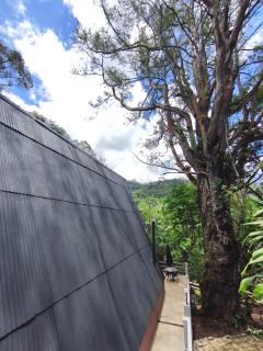 Cabana do Eucalipto - 3