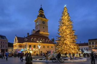Tampa Sunshine Apartment - Free Private Parking - 5
