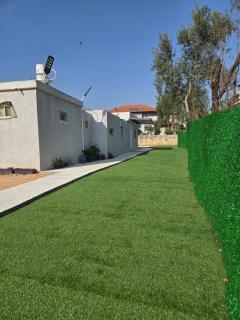 אירוח תמר - 0