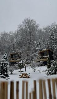 Forava Cabin 2 - Cozy Forest Stay and Sauna - 4