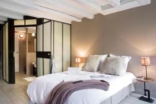 Surprenantes- Jules Verne - 7