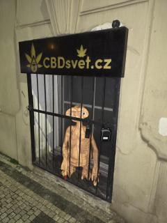 Get Prague Flat Trojanova - 1