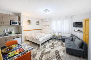 T&N Studio-Center-Free parking,AC,Train-Bus station - Sarajevo - 0